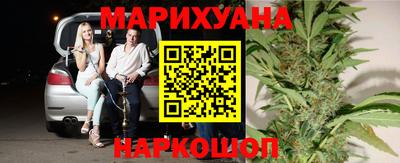 индика Моздок