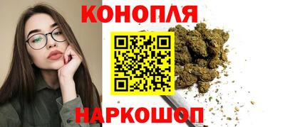 индика Моздок