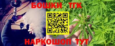 индика Моздок